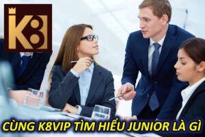 Cùng k8vip tìm hiểu junior là gì