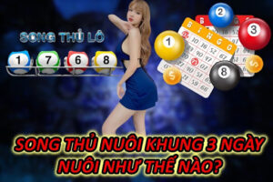 Song Thủ Nuôi Khung 3 Ngày - Nuôi Như Thế Nào?