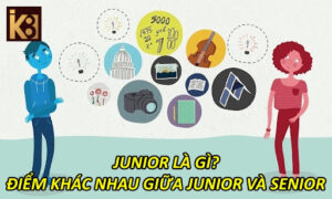 Junior Là Gì? Điểm Khác Nhau Giữa Junior Và Senior