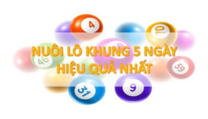 Nuôi lô kép khung 5 ngày có tỷ lệ về chính xác nhất cùng K8vip