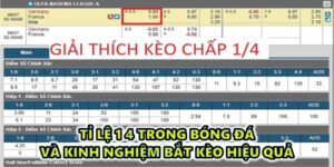 Tỉ lệ 1 4 trong bóng đá và kinh nghiệm bắt kèo hiệu quả