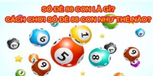 Số đề 88 là con gì? Cách chơi số đề 88 con như thế nào?