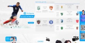 Y6sports - Website cược bóng đá hàng đầu hiện nay