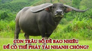 Con trâu số đề bao nhiều - Ghi lô phát tài ngay năm 2022