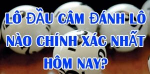 Lô câm đầu đánh con gì? Cùng K8 tìm hiểu về lô câm đầu