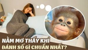 Nằm mơ thấy con khỉ đánh số mấy để trúng lớn trong 2022?