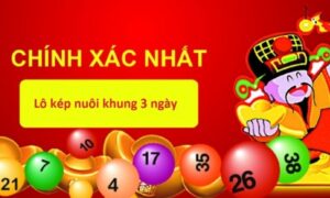 Nuôi cặp lô khung 3 ngày miễn phí chính xác tuyệt đối