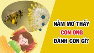 Con ong la so may? Mơ thấy ong cho biết gì đúng 100%