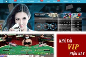 Nhà cái uy tín VIP com | Review chi tiết nhà cái cùng K8