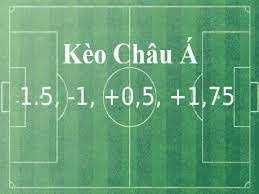 Ty le cuoc chau A như thế nào? Cách chơi chốt kèo hiệu quả