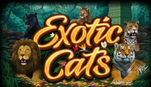 Exotic Cats – Game slot thú vị đến từ nhà cung cấp Microgaming