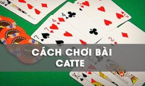 Cách chơi bài catte - chi tiết luật chơi và thuật ngữ thường dùng