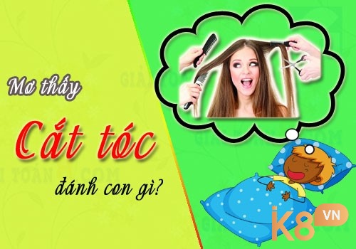 Chiêm bao thấy cắt tóc đánh con gì dễ trúng nhất