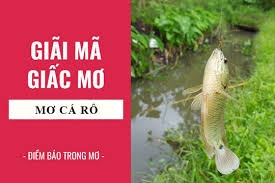 Nằm mộng thấy cá rô đồng là điềm báo gì? Ý nghĩa gì?