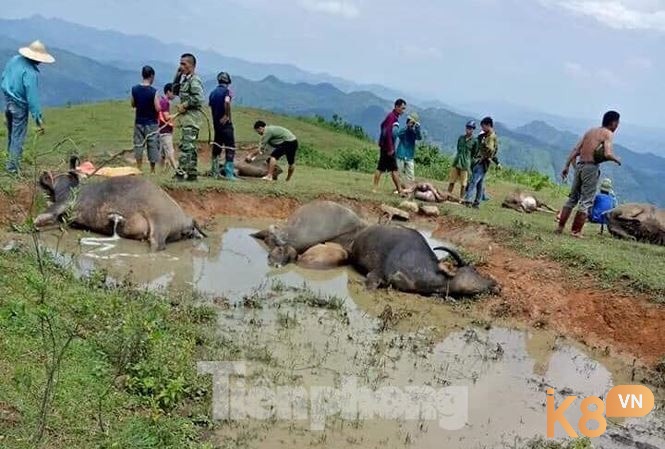 Có thể là điềm báo về sự đổ vỡ của mối quan hệ nào đó 