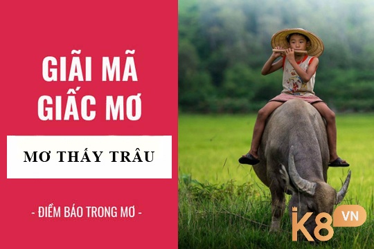 Vậy K8 cho bạn biết mộng thấy trâu cày có điềm báo gì